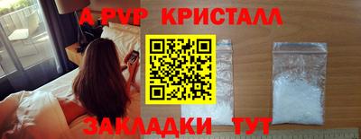 шишки Лесосибирск
